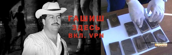 PSILOCYBIN Тында