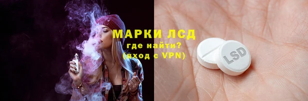PSILOCYBIN Тында