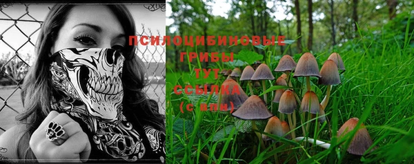 наркотики Туринск