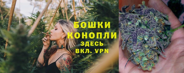 эйфоретик Тутаев