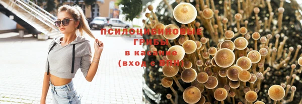 наркотики Туринск