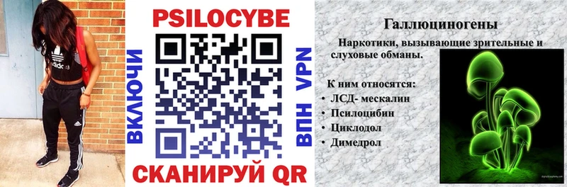 omg tor  Электросталь  Галлюциногенные грибы Psilocybine cubensis  магазин  наркотиков 