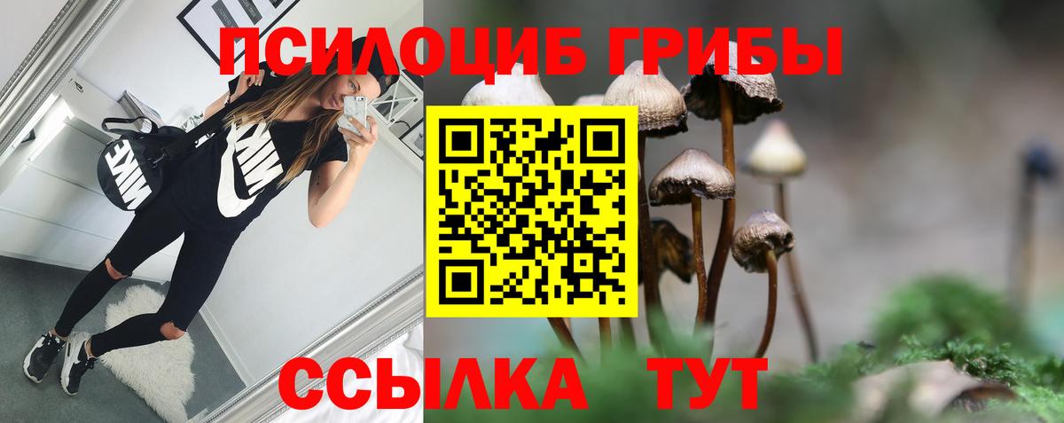 Псилоцибиновые грибы MAGIC MUSHROOMS  купить  цена  Электросталь  Вход с VPN 